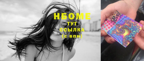 хмурый Арсеньев