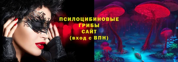 хмурый Арсеньев