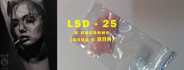хмурый Арсеньев