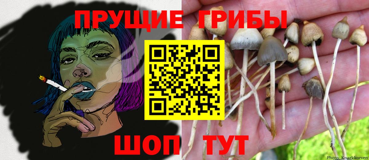 Галлюциногенные грибы мухоморы Усть-Кут
